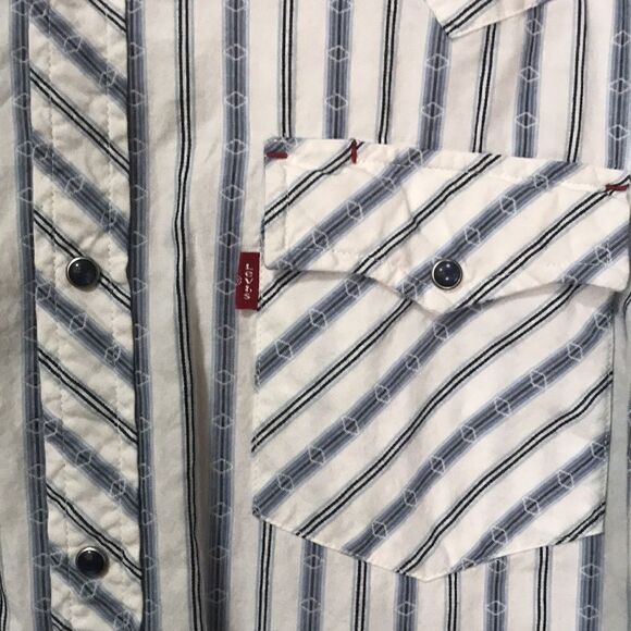 Levi Strauss and Co. Men's Casual Button-down Shirt, Large, Multi-colored - Picture 2 of 7